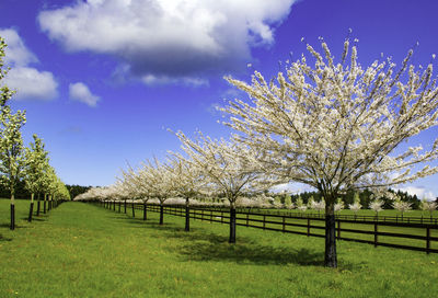 Scenic view of landscape against cloudy sky