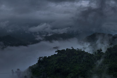 Low angle view of trees against dramatic sky