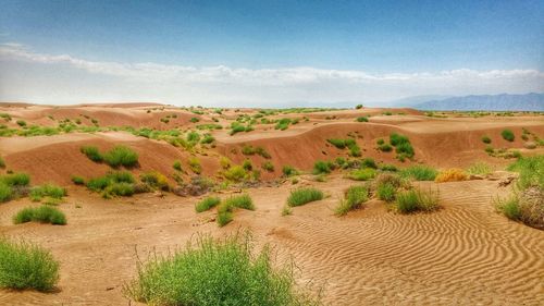 View of desert on sunny day