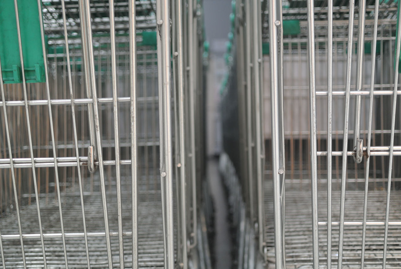 FULL FRAME SHOT OF METALLIC RAILING