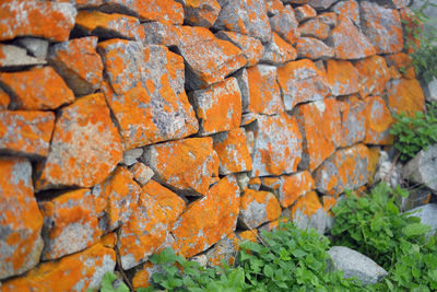 Close-up of orange wall