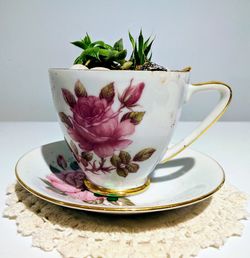 Close-up of potted plant on table