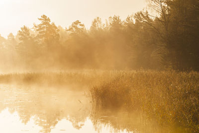 Mist at still lake at sunrise