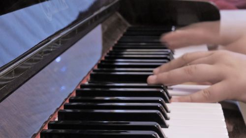 Close-up of hands playing piano