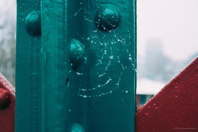 Close-up of wet window