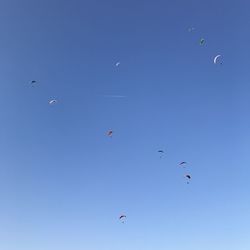 Low angle view of birds flying in sky