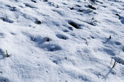 High angle view of snow covered field