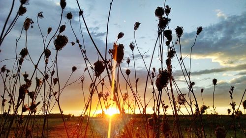 Scenic view of landscape against sky at sunset