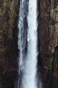 View of waterfall in forest