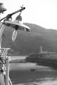 Close-up of bird hanging by sea against sky