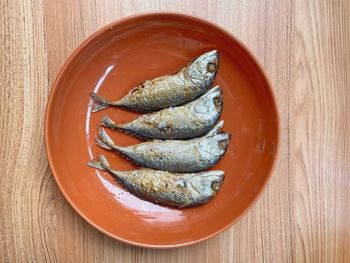 High angle view of fish in bowl on table