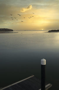 Birds flying over sea against sky during sunset