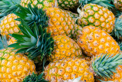 Pineapple pineapples for sale