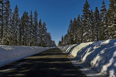 Empty road amidst snow covered trees against clear sky