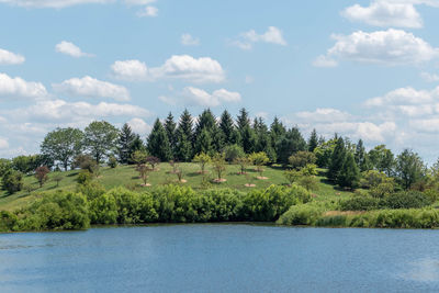 Scenic view of river in forest against sky