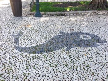 Cat on paving stone