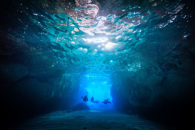 View of scuba divers undersea