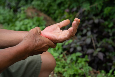 Midsection of man hand on leaf