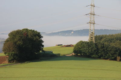 Trees on field against sky