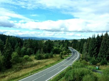 High angle view of country road along trees