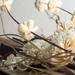 Close-up of white flowers