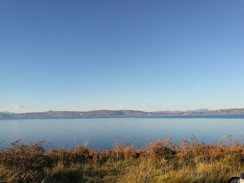 Scenic view of sea against clear blue sky