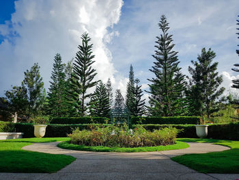 Plants and trees in park against sky