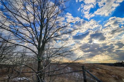 Bare tree against sky during winter