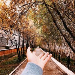 Close-up of hand against trees