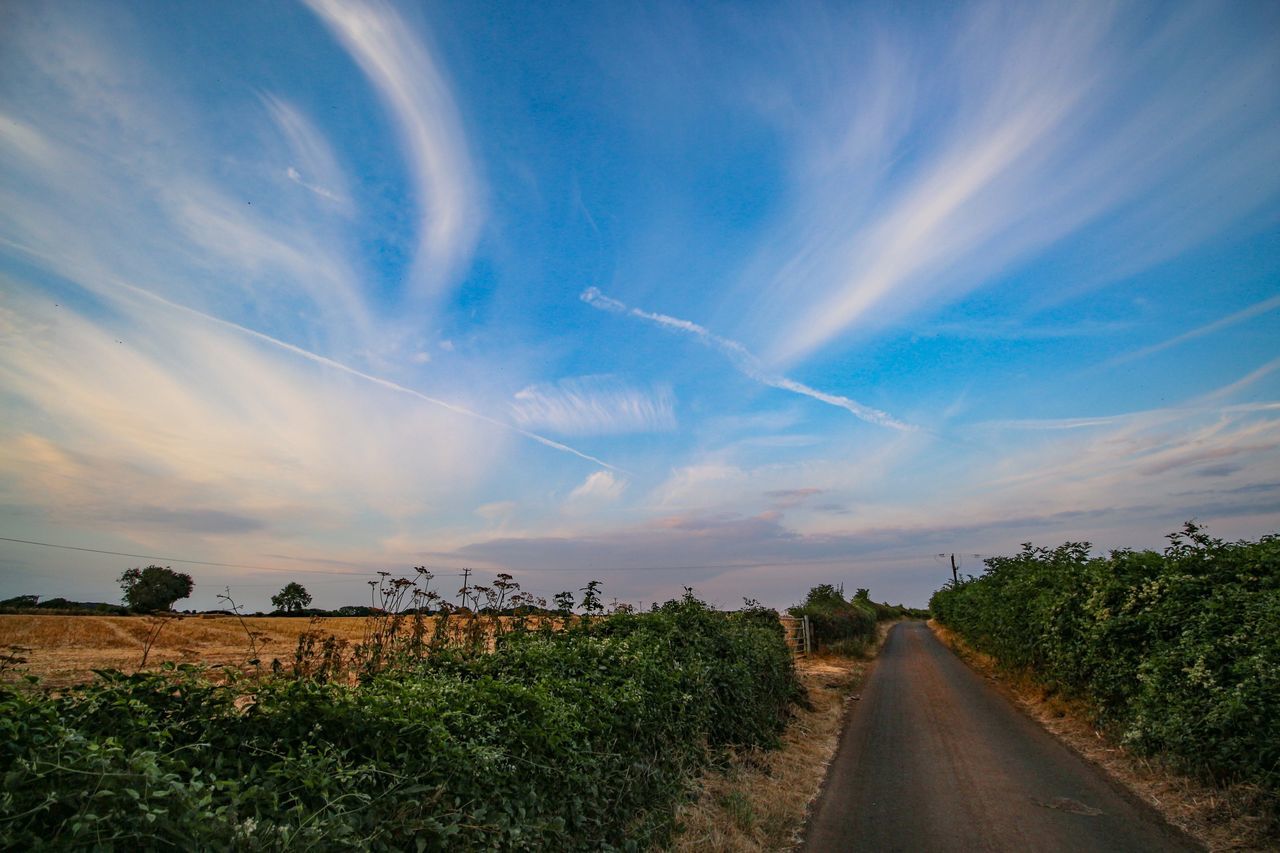 SCENIC VIEW OF ROAD AMIDST TREES AGAINST SKY