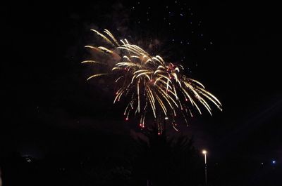 Low angle view of fireworks in sky at night