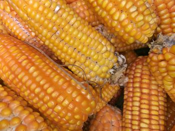 Full frame shot of corns for sale at market