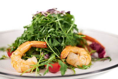 Close-up of salad served in plate