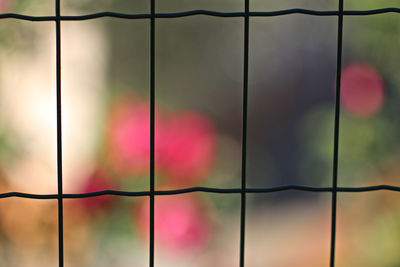 Full frame shot of multi colored fence