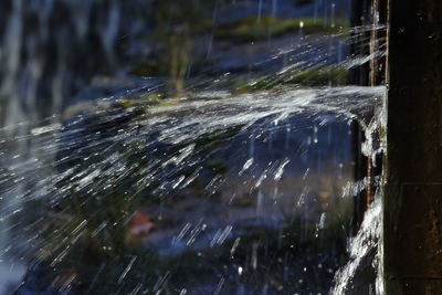 Close-up of water falling from plant