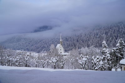 Scenic view of tree by building against sky during winter