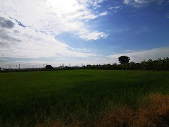 Scenic view of field against sky