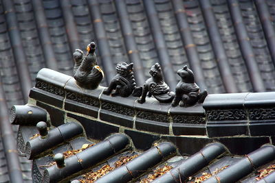 Close-up of birds in nest
