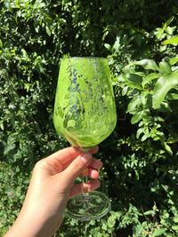 Hand holding ice cream cone