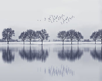 Birds flying over lake against sky