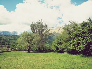 Scenic view of grassy field against cloudy sky
