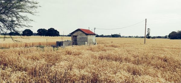 Houses on field against sky