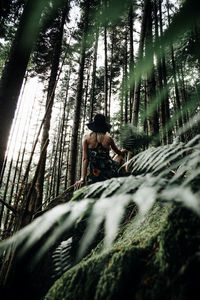 Low angle view of woman sitting on rock seen through plants at forest