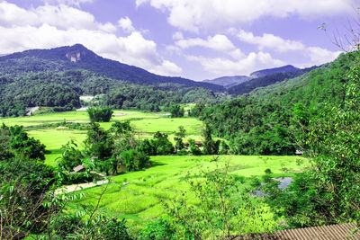 Scenic view of green landscape and mountains against sky