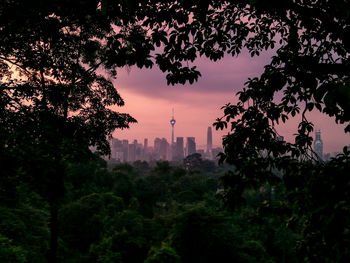 Silhouette of trees and buildings at dusk