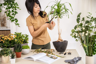 Female gardener cutting dry leaves of houseplant working at workshop