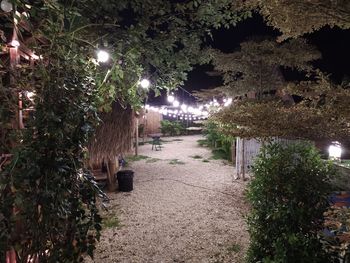 Illuminated street lights in park at night