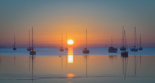 Sailboats in sea at sunset