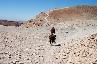 Rear view of man riding horse at desert