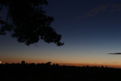 Silhouette trees against sky during sunset